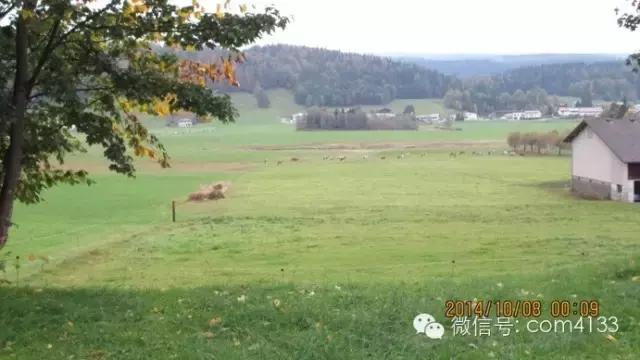 梁文道吴秀波带你侦查瑞士洳山谷产区，品牌及排序