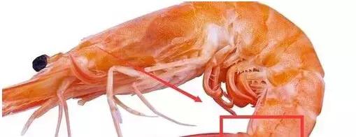 烟台海鲜什么季节最好吃,逼格最高的烟台海鲜