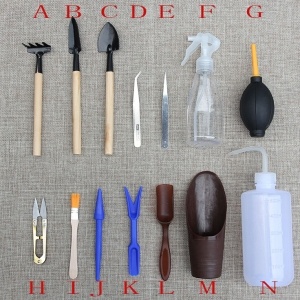 会发光的蘑菇叫荧光啥,荧光小蘑菇特点