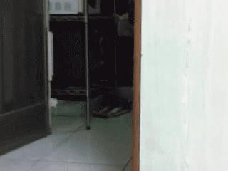 狗狗搞笑图gif,搞笑gif看狗狗的小眼神太委屈了