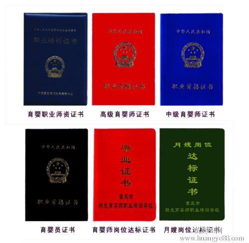 怎样取得金牌月嫂,好月嫂难找金牌月嫂怎么办