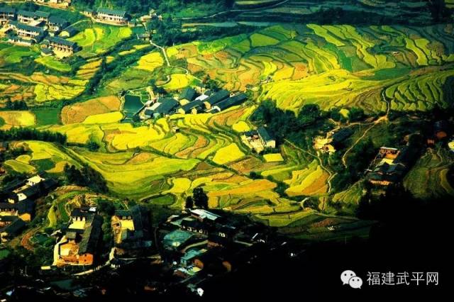 一封武平籍在厦外企的白领丽人的辞职信，看得我自信爆棚!