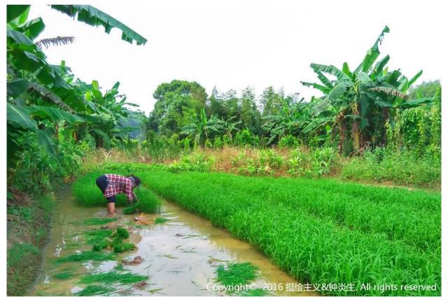 一封武平籍在厦外企的白领丽人的辞职信，看得我自信爆棚!