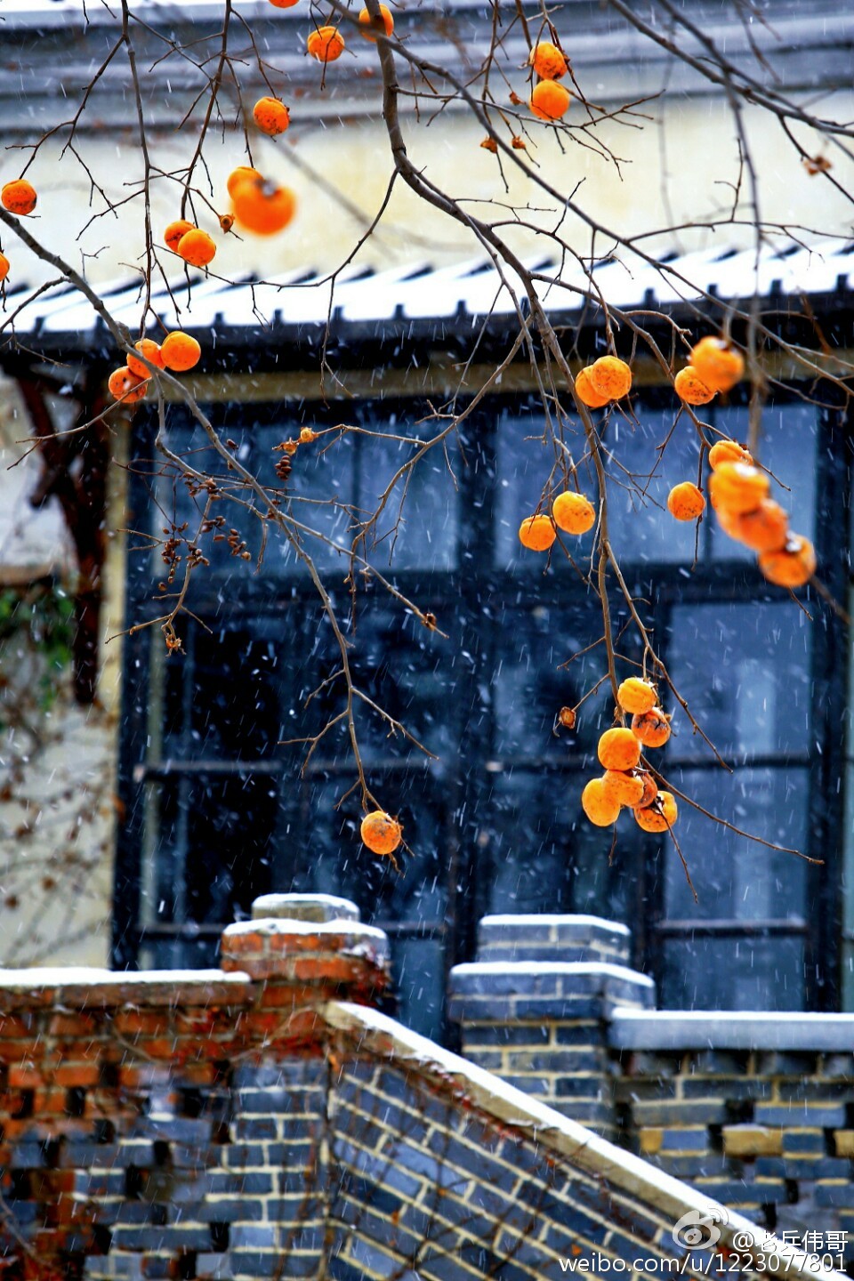 大连旅顺口好吗,旅顺值得住一晚吗