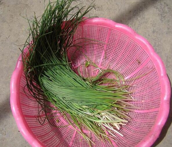 男人外出打工留守妇女真实现状,丈夫外出打工揭露留守女人的悲哀