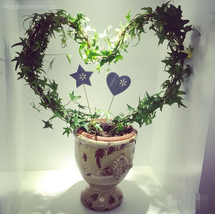 郑州最全的花店,郑州有哪些网红花店