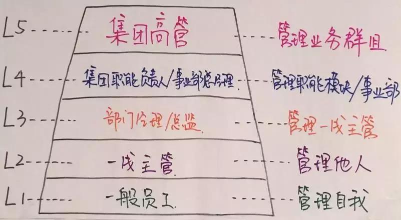 胜任力模型和任职资格体系的区别,领导力模型和胜任力模型的区别