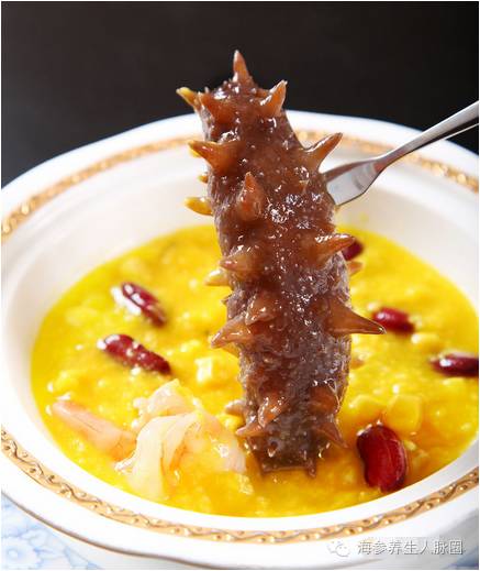 熬夜看奥运，你必须用海参提提神啦！