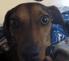 图文笑话：那么重还要我拉你，我辞职不干了