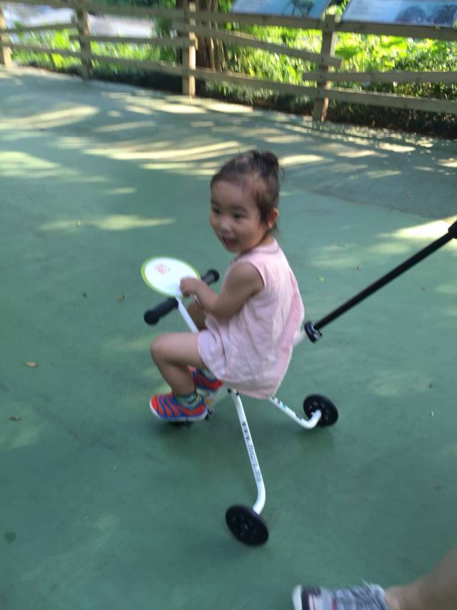 迪士尼暑假游玩攻略一日游最新,旅行攻略迪士尼