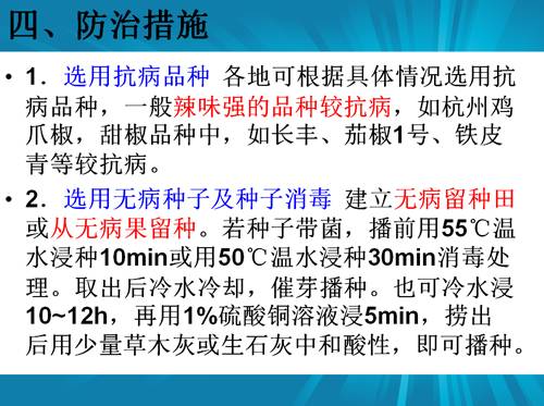 防治朝天椒炭疽病,辣椒炭疽病属于真菌还是细菌