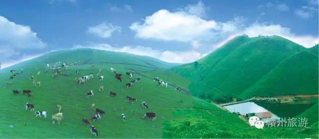 感觉身体被掏空,感觉身体被掏空需要充电