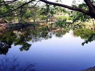 七夕脱单,七夕脱单攻略及答案