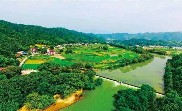 溯溪探险浏阳,浏阳旅游十大必去景区排名