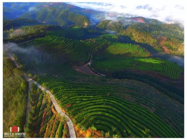 一封武平籍在厦外企的白领丽人的辞职信，看得我自信爆棚!