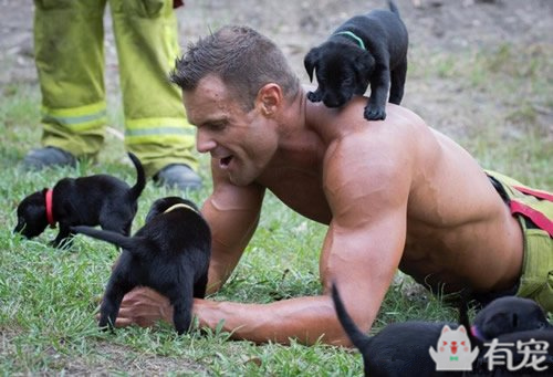 搜救犬看见消防员抱着小奶狗 (消防员训练发现小奶狗)