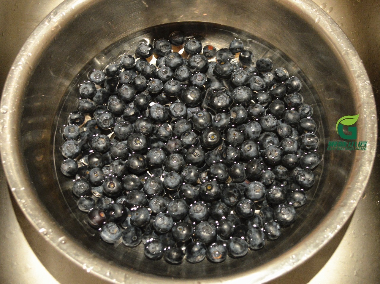 蓝莓酒的制作方法和注意事项,自制蓝莓酒最正确的方法