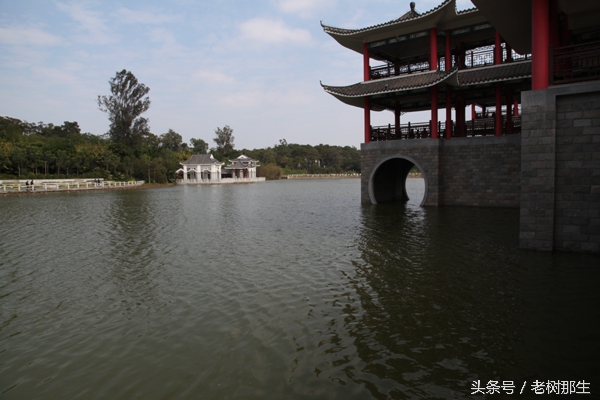 广西南宁狮山公园图,南宁狮山公园景观改造