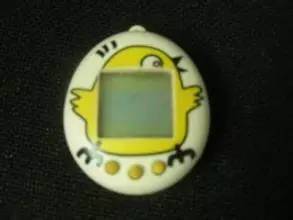 大同老照片图片大全,能看懂的图片