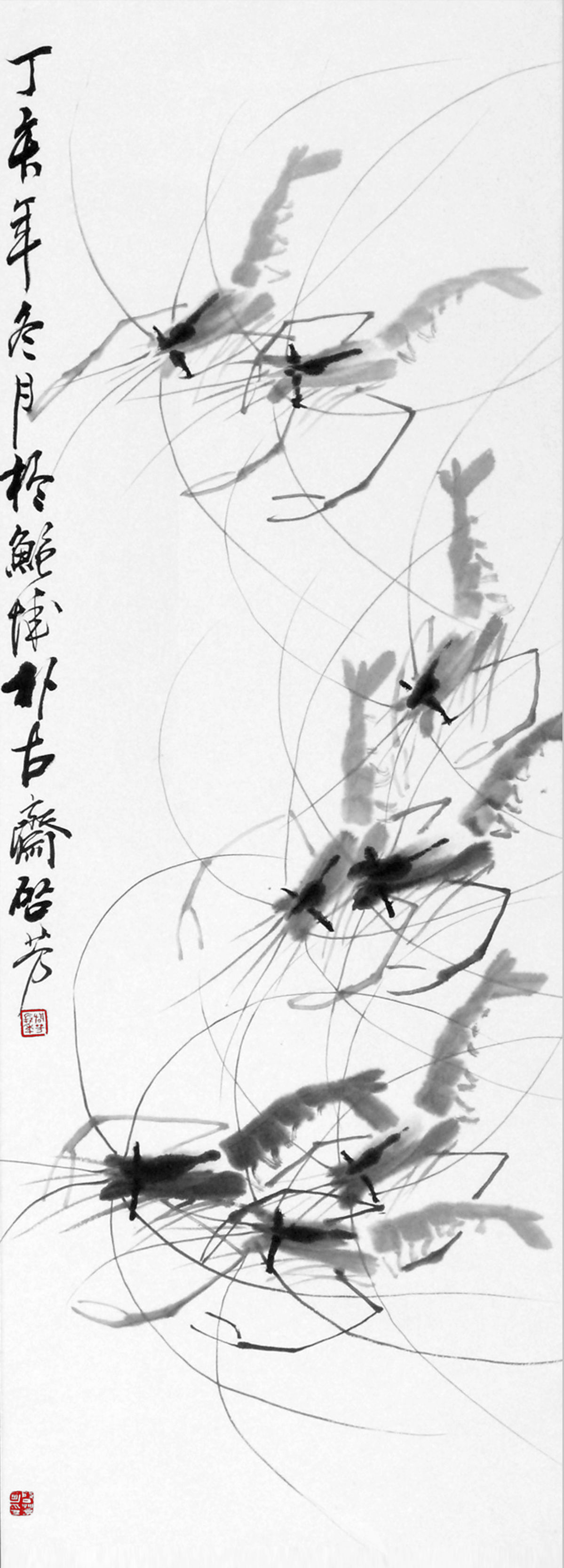 齐白石墨虾欣赏视频,齐白石墨虾完整图