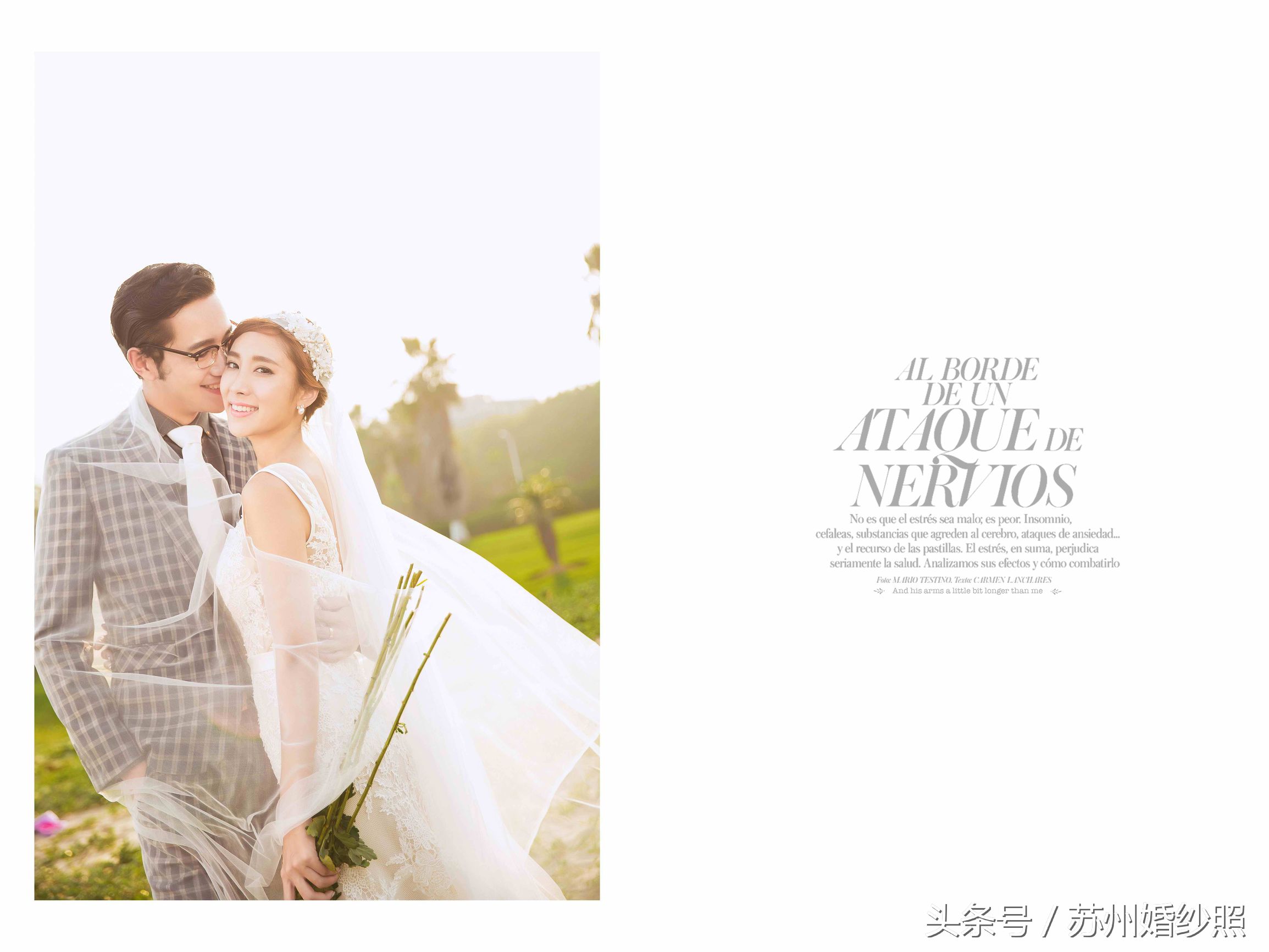 拈一朵落花，执笔写意人生