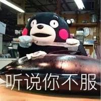 sat考试满分可以进什么学校,没有sat成绩能申校吗