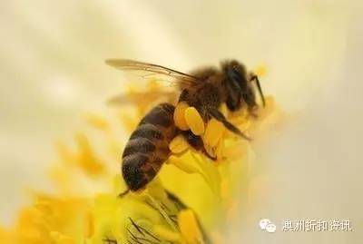 healthycare,healthycare什么牌子