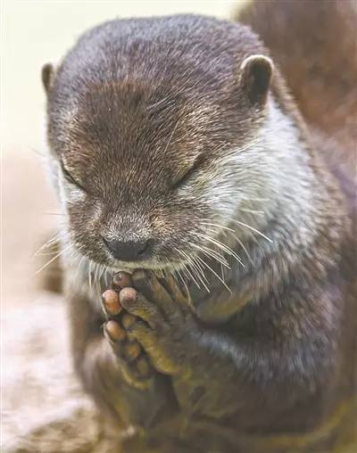 闽南人在鬼月的正确解锁姿势应该是酱紫滴