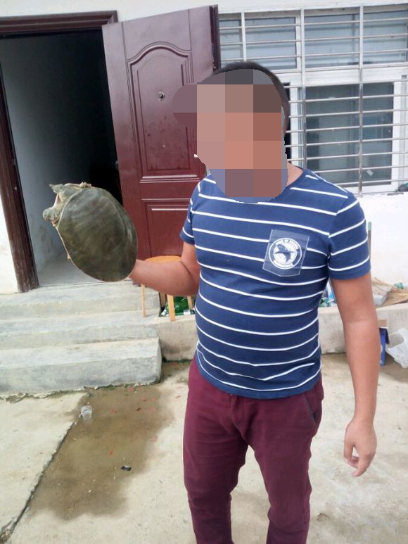 钓了一只大甲鱼跑了,上午钓了一只大甲鱼