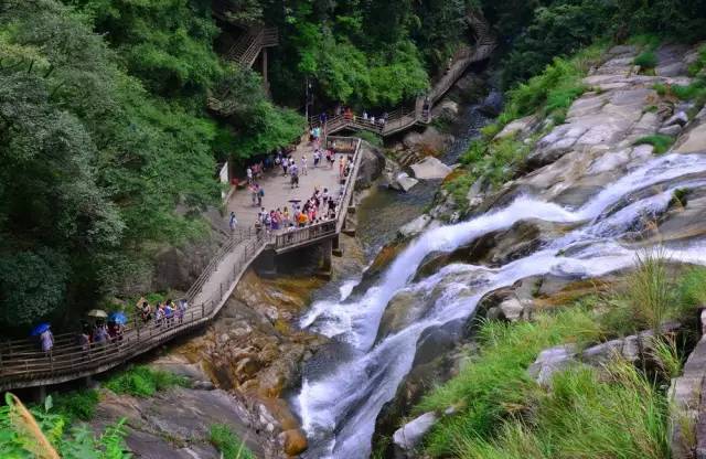 一封武平籍在厦外企的白领丽人的辞职信，看得我自信爆棚!