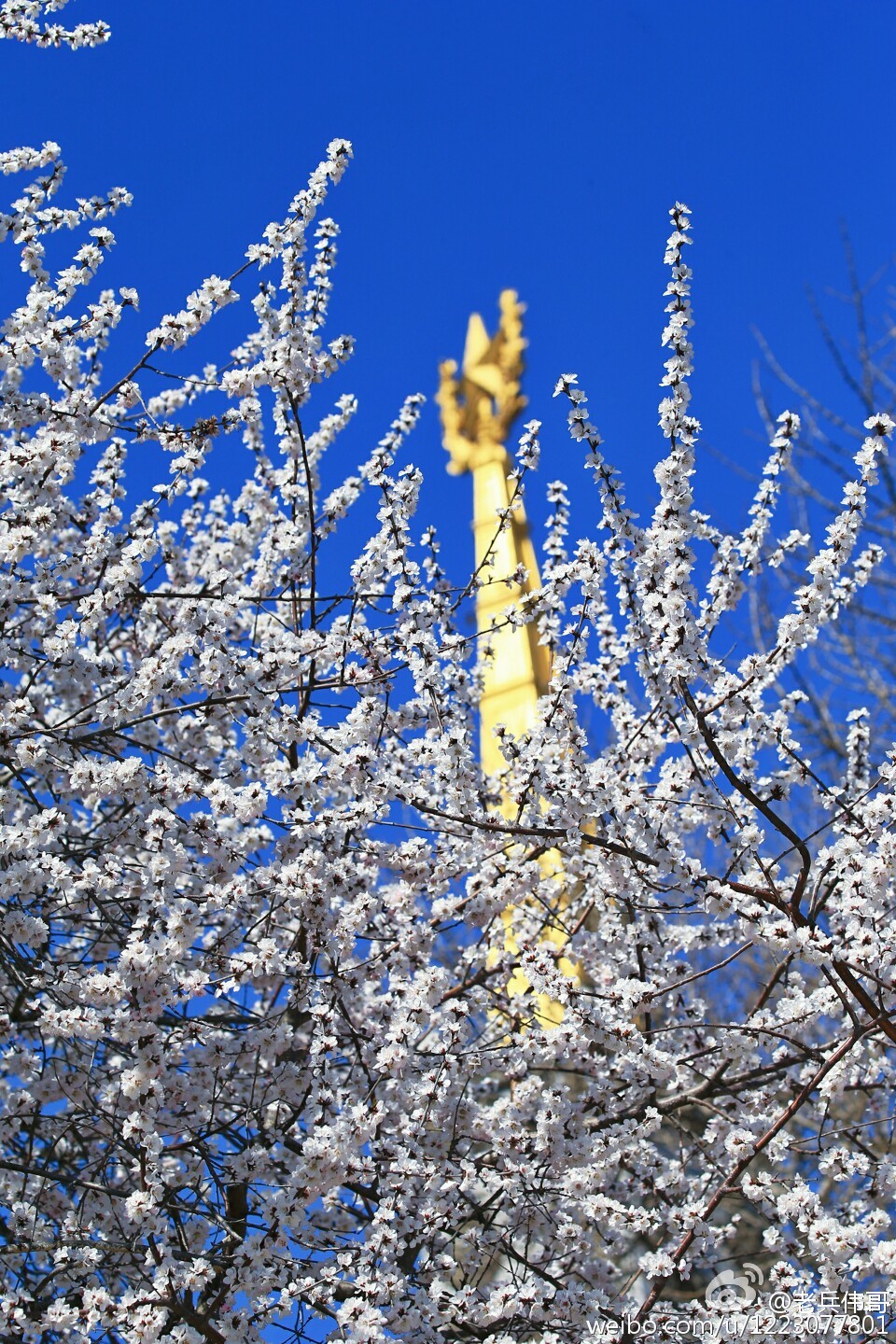 大连旅顺口好吗,旅顺值得住一晚吗