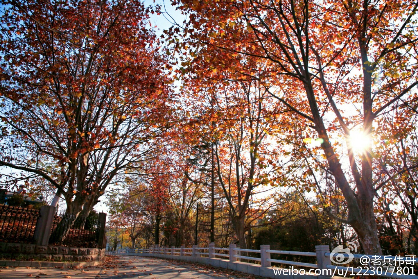 大连旅顺口好吗,旅顺值得住一晚吗