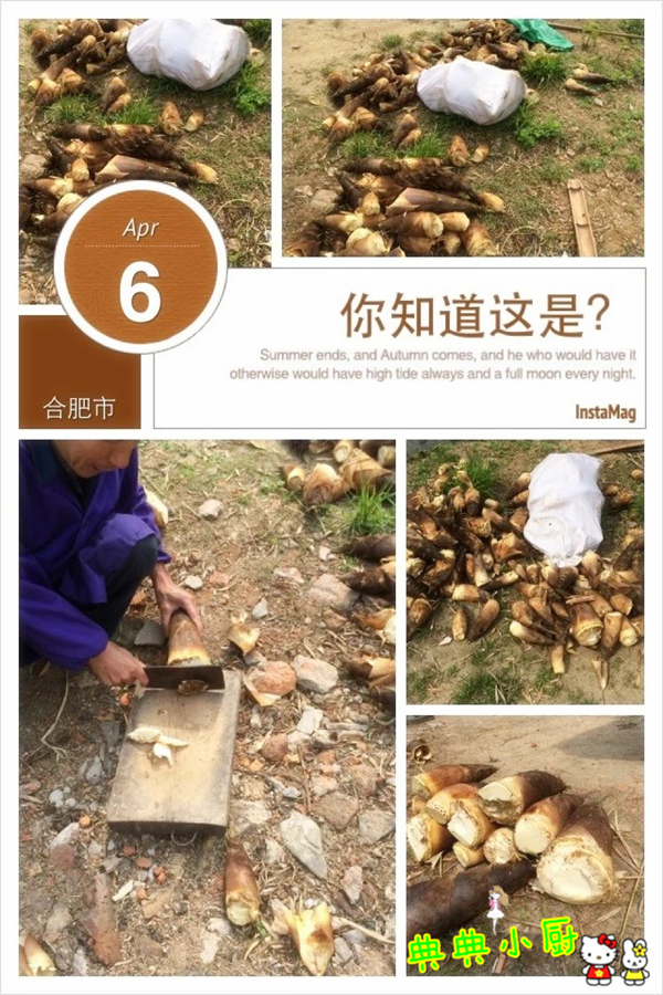 新鲜的小竹笋拿来怎么炒好吃,竹笋烧肉怎么烧才好吃