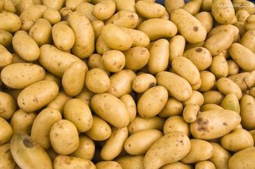 一个完美的人需要具备的品质,一个完美的人