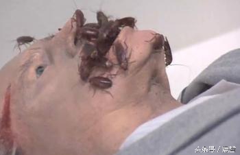 一口气看完盗墓那些事,绝对真实的盗墓事件全集