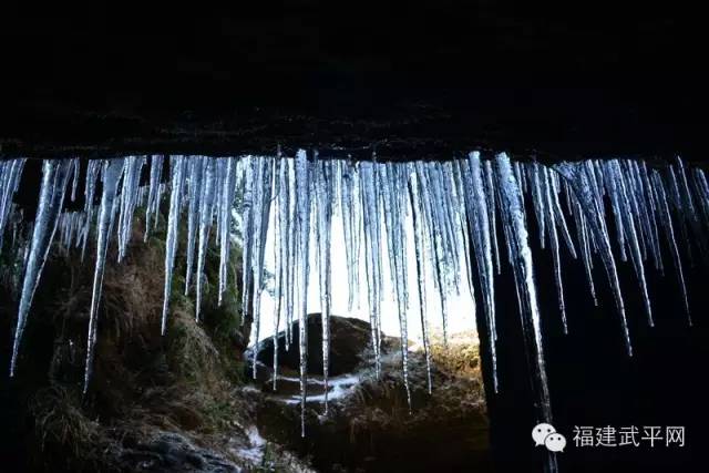 一封武平籍在厦外企的白领丽人的辞职信，看得我自信爆棚!