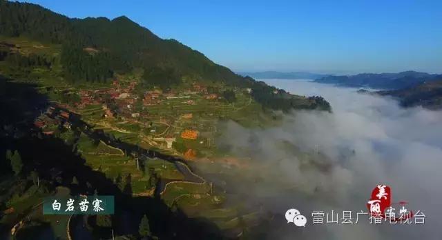 享用大自然的气息天然氧吧,享用大自然呼吸天然氧