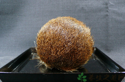 甄嬛传里治疗疤痕的药,甄嬛传中药片段