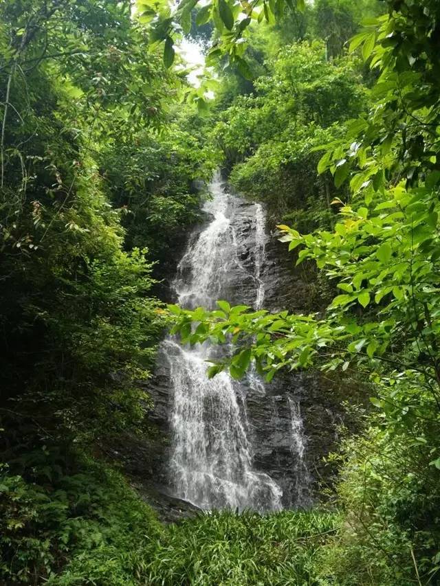 溯溪探险浏阳,浏阳旅游十大必去景区排名