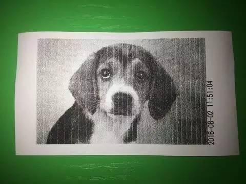 拍立得相纸彩色,相机拍立得相纸