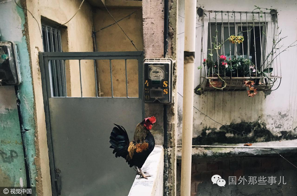 最大贫民窟Rocinha长啥样?别闹人家是网红