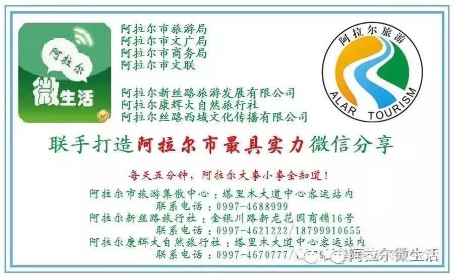 微新闻最新视频,微新闻