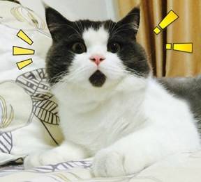 教大家讲一些很容易读错的粤语,粤语常用知识大全