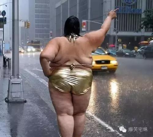 娘子莫要惊慌下一句文案,娘子莫要惊慌下一句