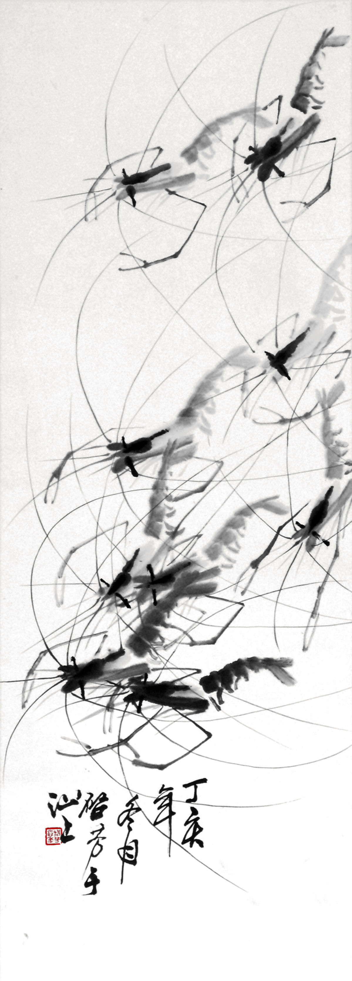 齐白石墨虾欣赏视频,齐白石墨虾完整图