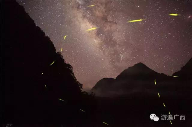 广西乐业出现神秘萤火之光，堪比美国大片！