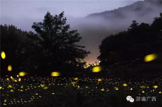 广西乐业出现神秘萤火之光，堪比美国大片！