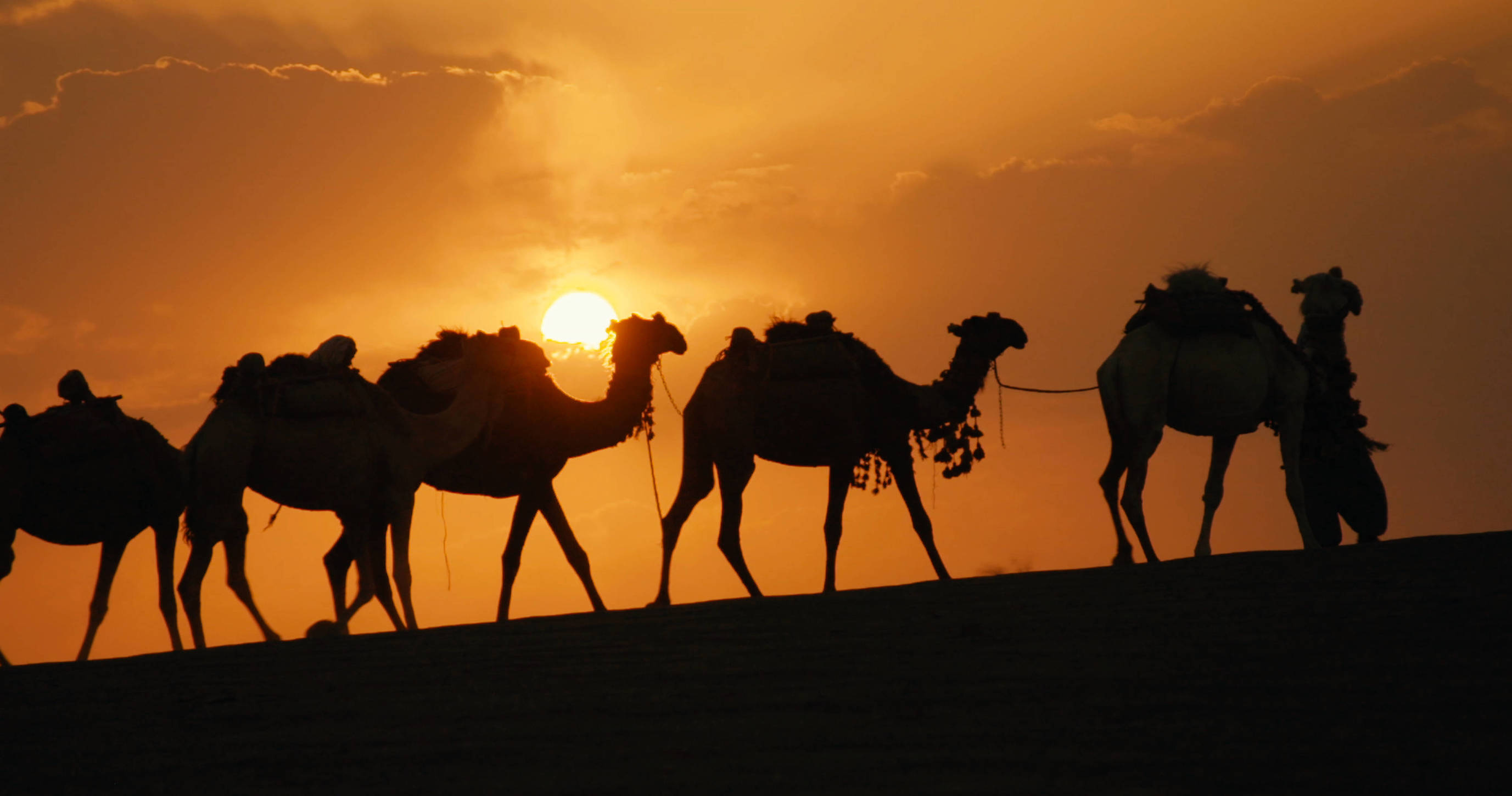 纪录片奇域探秘新丝路,探寻古丝绸之路