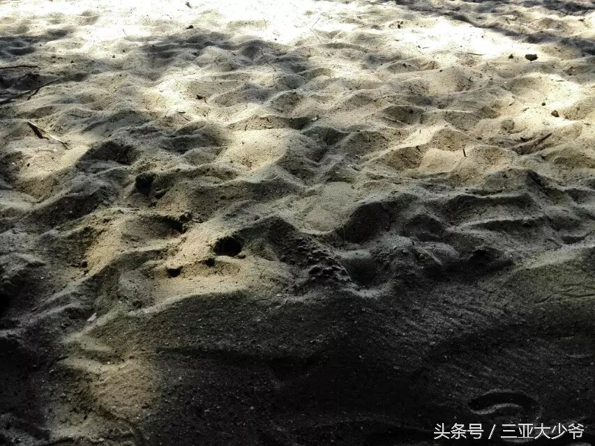 三亚给我的印象,三亚美好的遇见