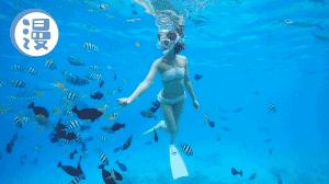 全智贤李敏镐蓝色商场购物,李敏镐全智贤倾情演出